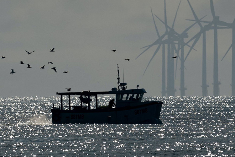 Fishing in a renewable future