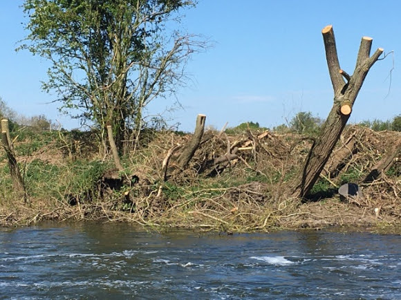 Atmosphere Company challenged over riverbank habitat destruction