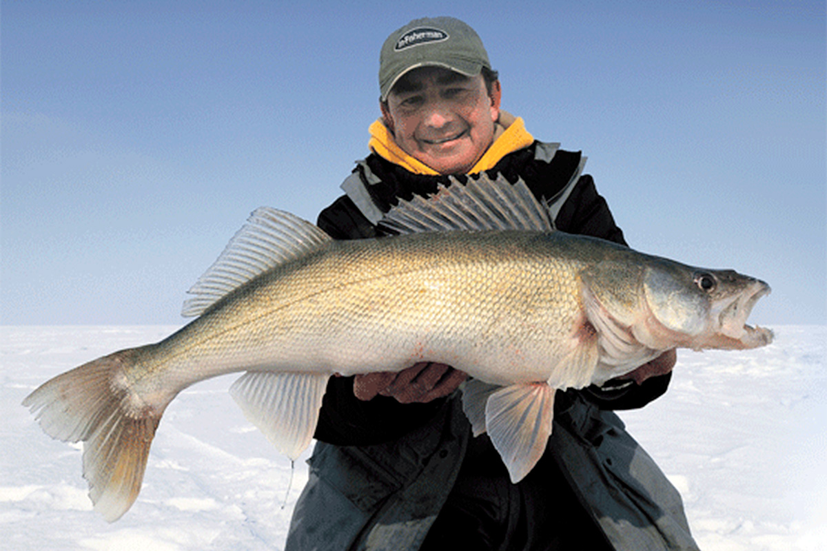 A Full Information to Ice Fishing for Walleye