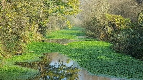 Angling Belief and Atmosphere Company announce £50,000 fund to assist angling golf equipment and fisheries shield waters from invasive species and illnesses